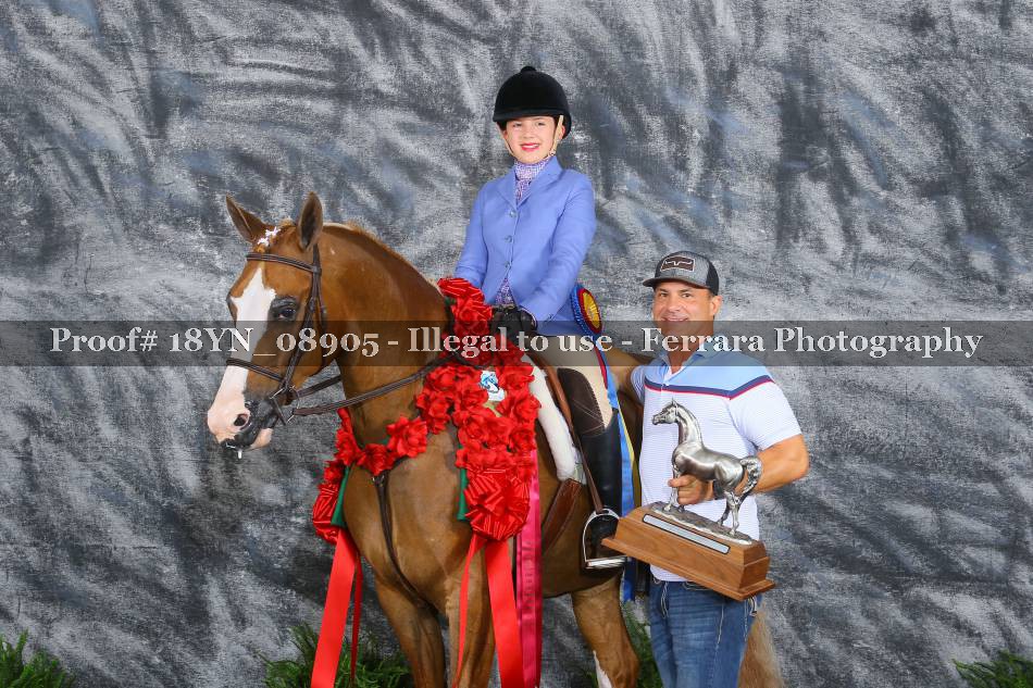 Proof 18YN_08905