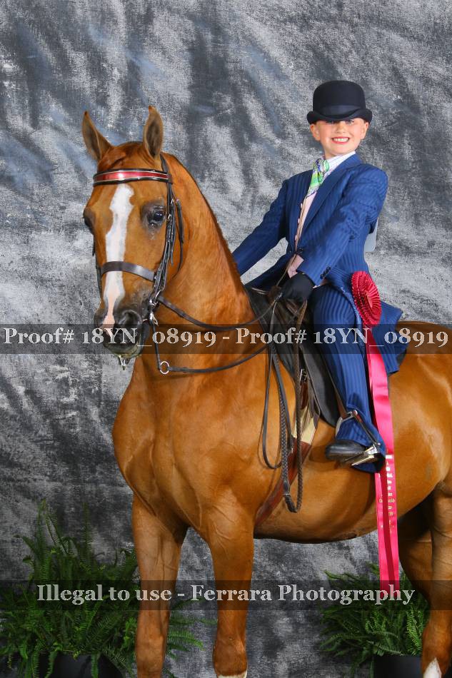 Proof 18YN_08919