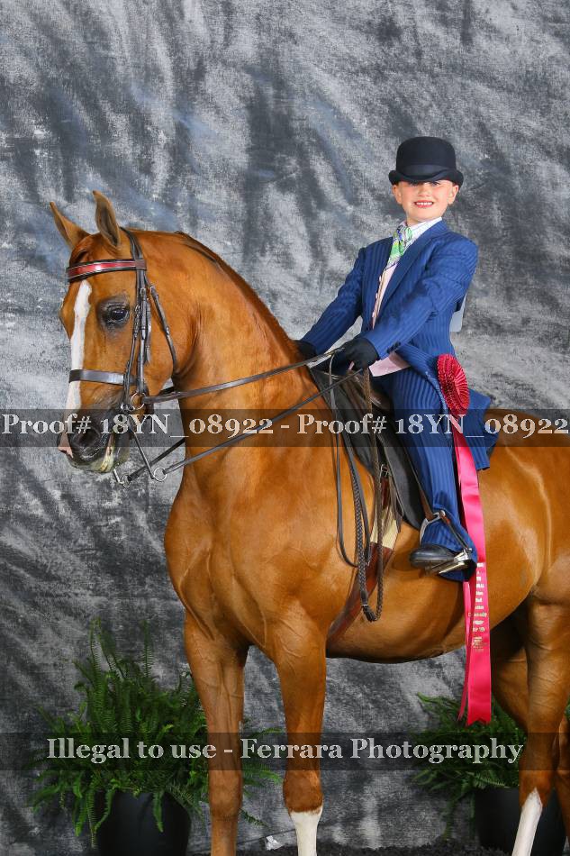 Proof 18YN_08922