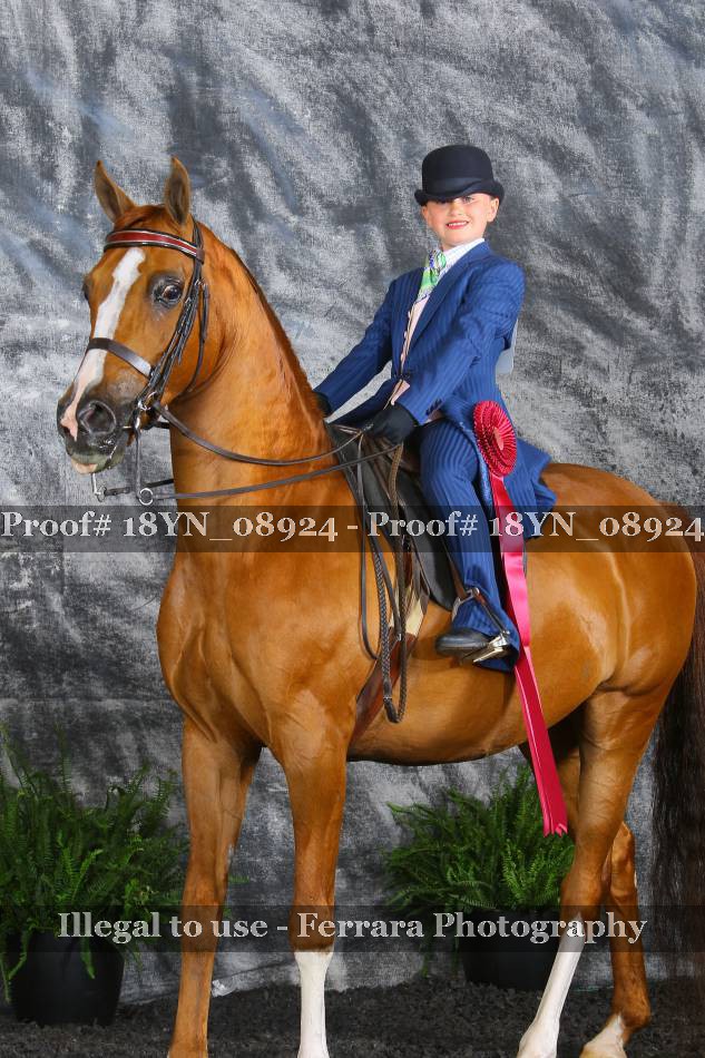 Proof 18YN_08924
