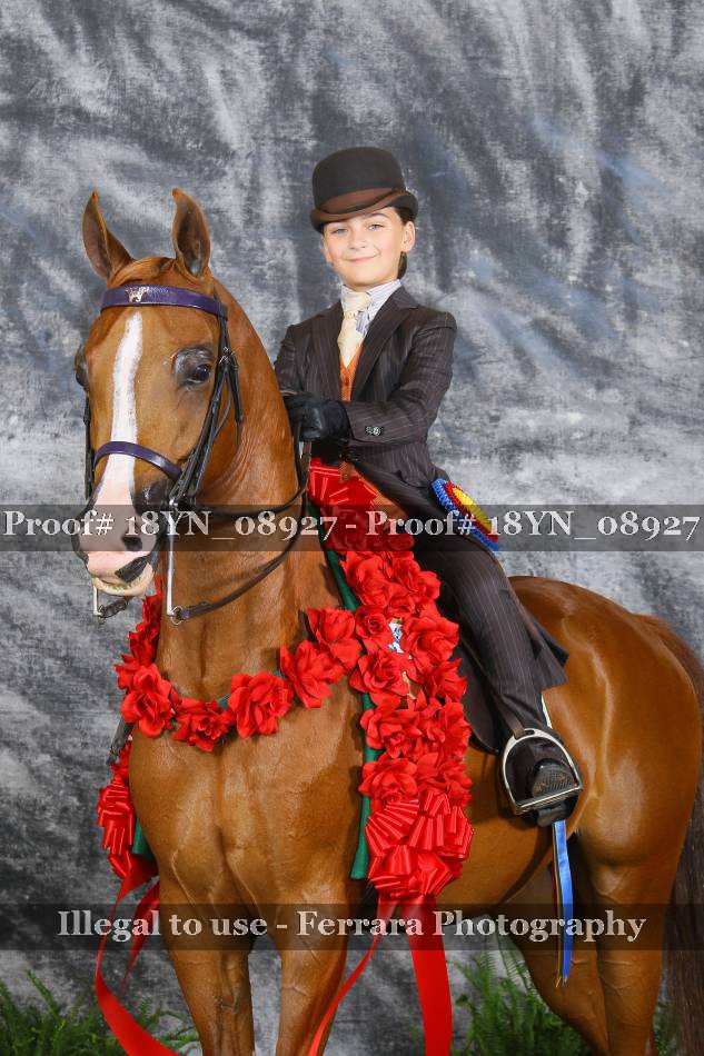 Proof 18YN_08927