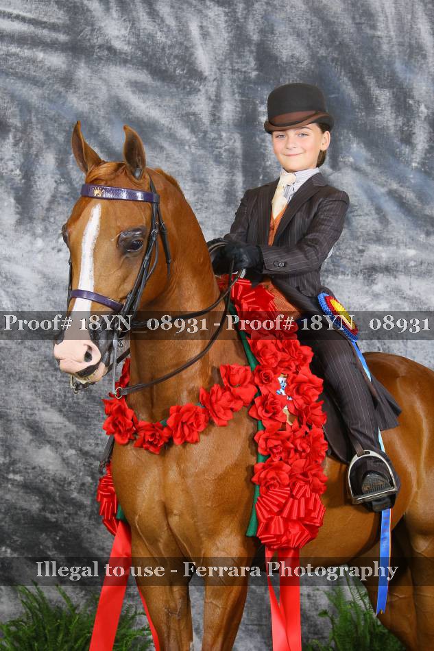 Proof 18YN_08931