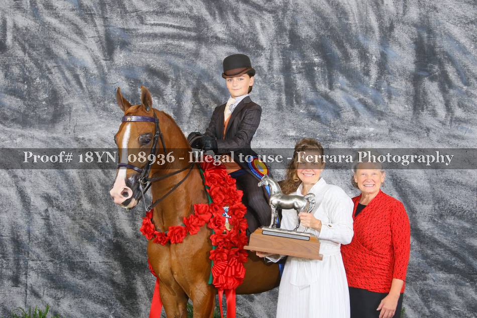 Proof 18YN_08936