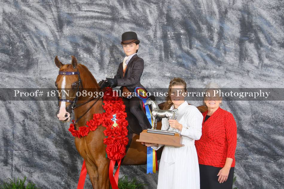 Proof 18YN_08939