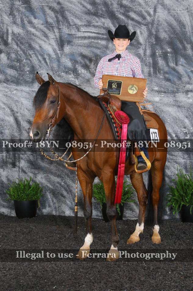 Proof 18YN_08951