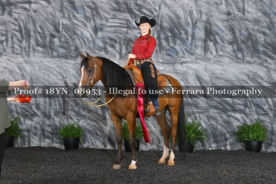 Proof 18YN_08953