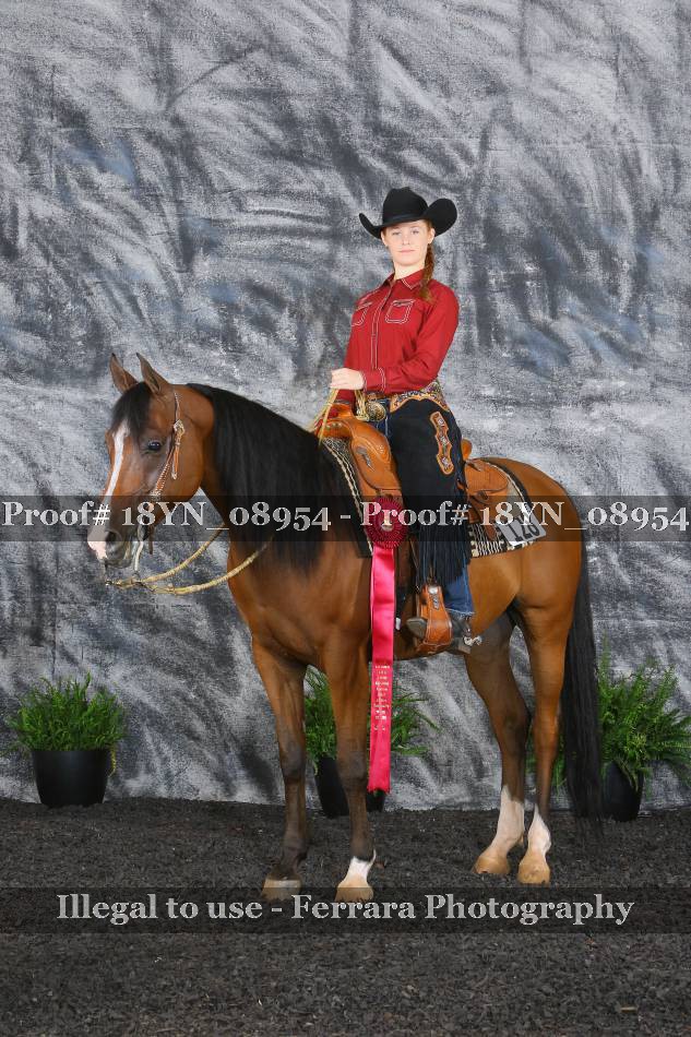 Proof 18YN_08954