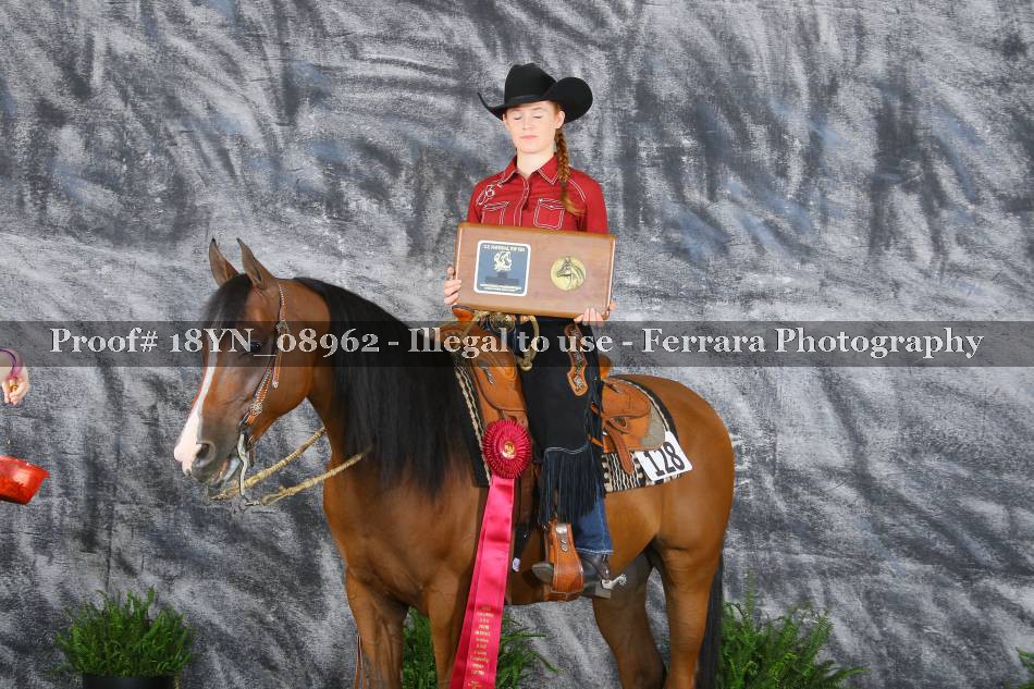 Proof 18YN_08962
