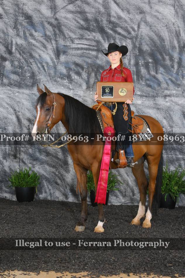 Proof 18YN_08963