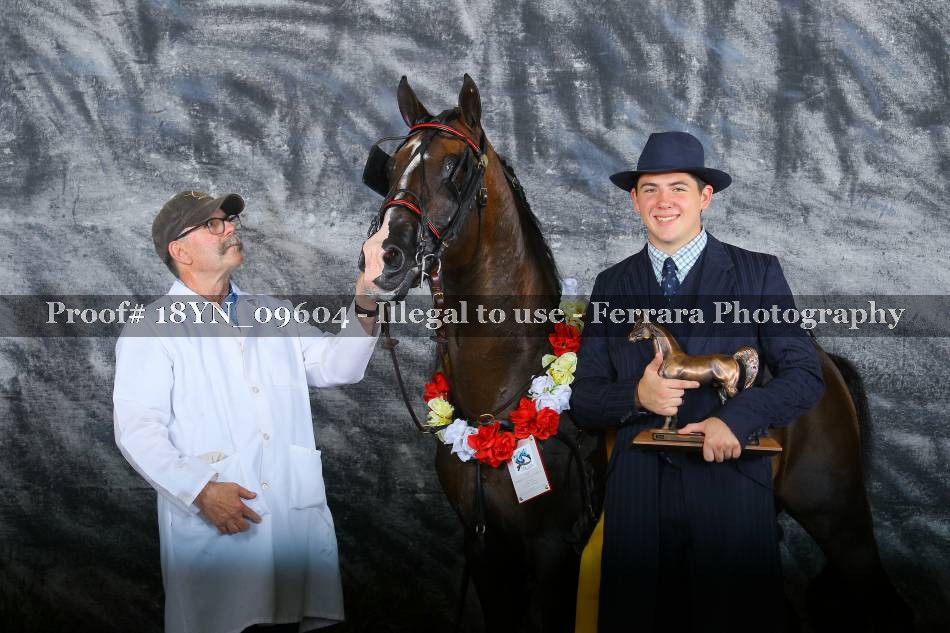 Proof 18YN_09604