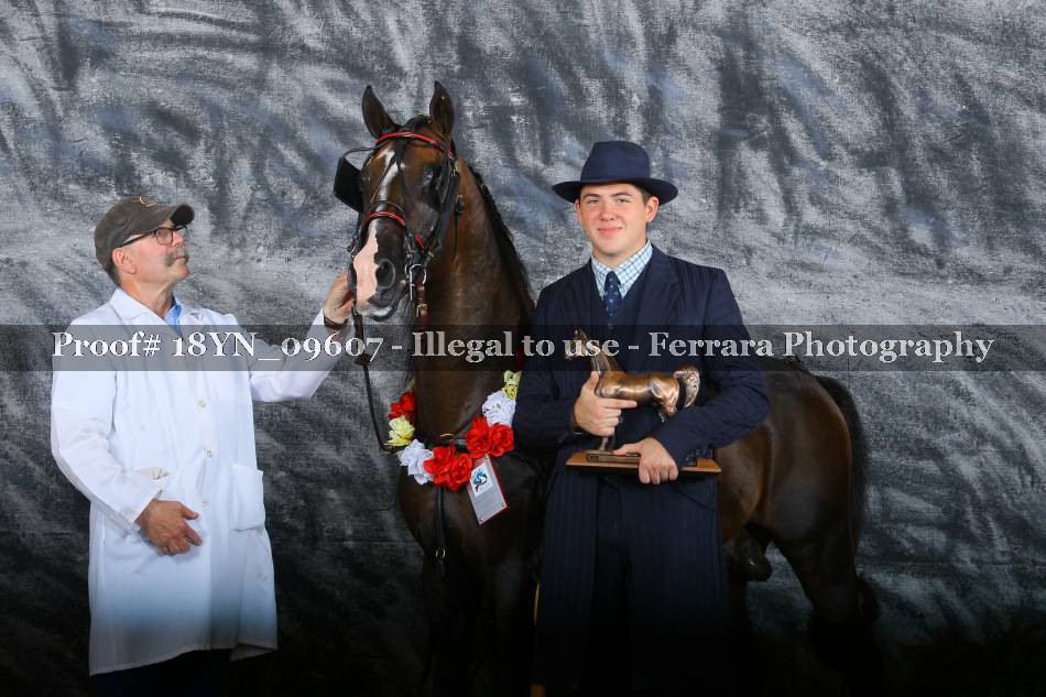 Proof 18YN_09607