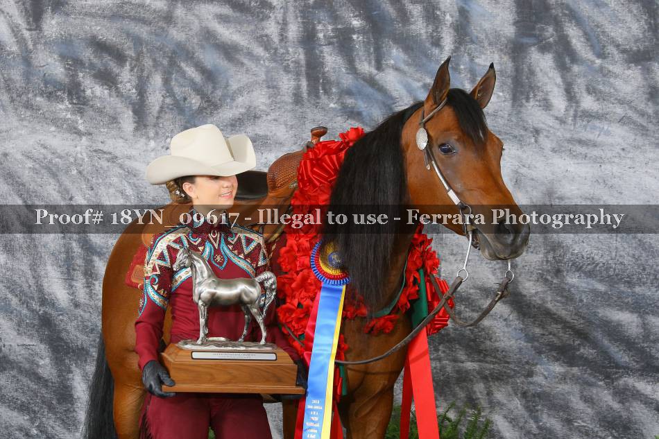 Proof 18YN_09617