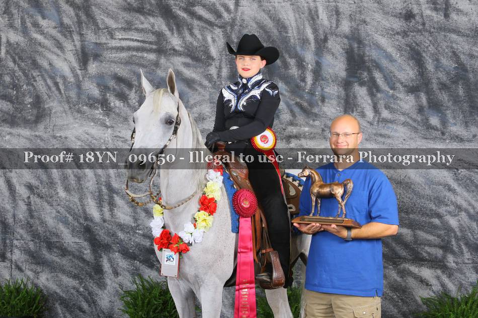 Proof 18YN_09650