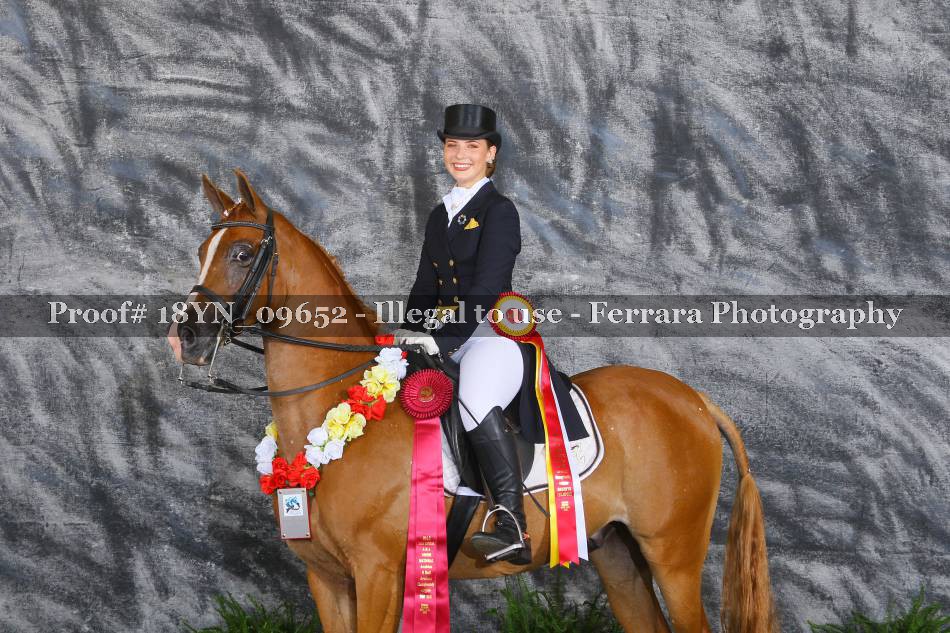 Proof 18YN_09652