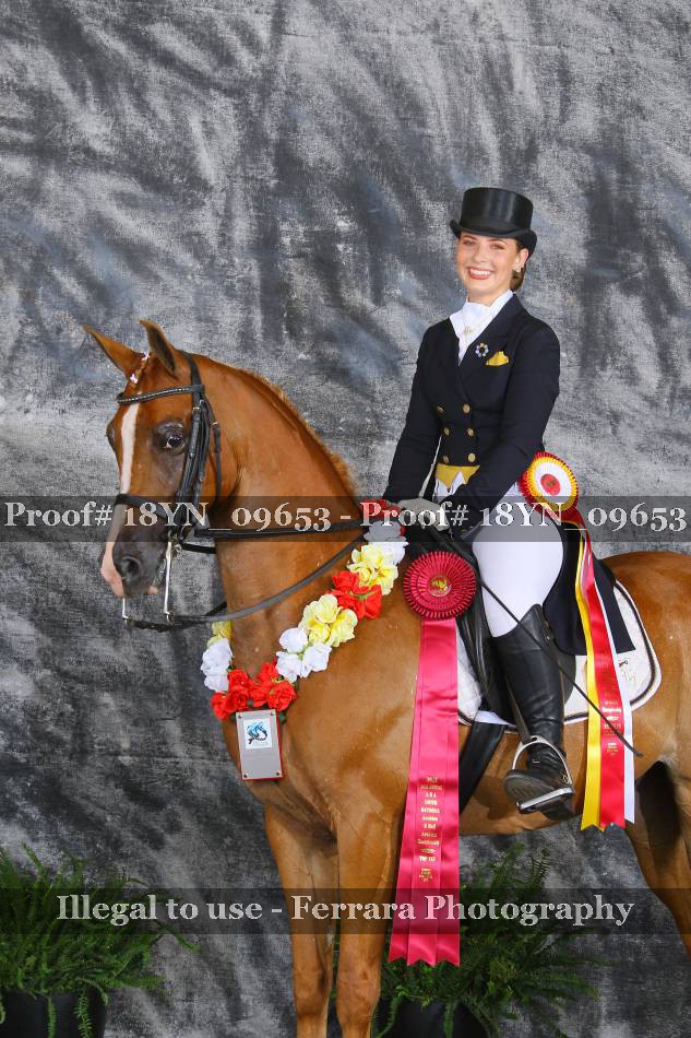 Proof 18YN_09653
