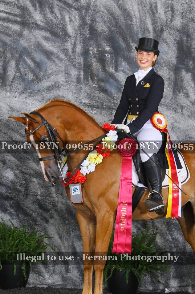 Proof 18YN_09655