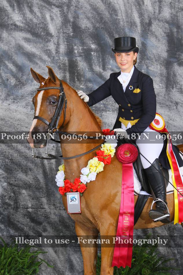 Proof 18YN_09656