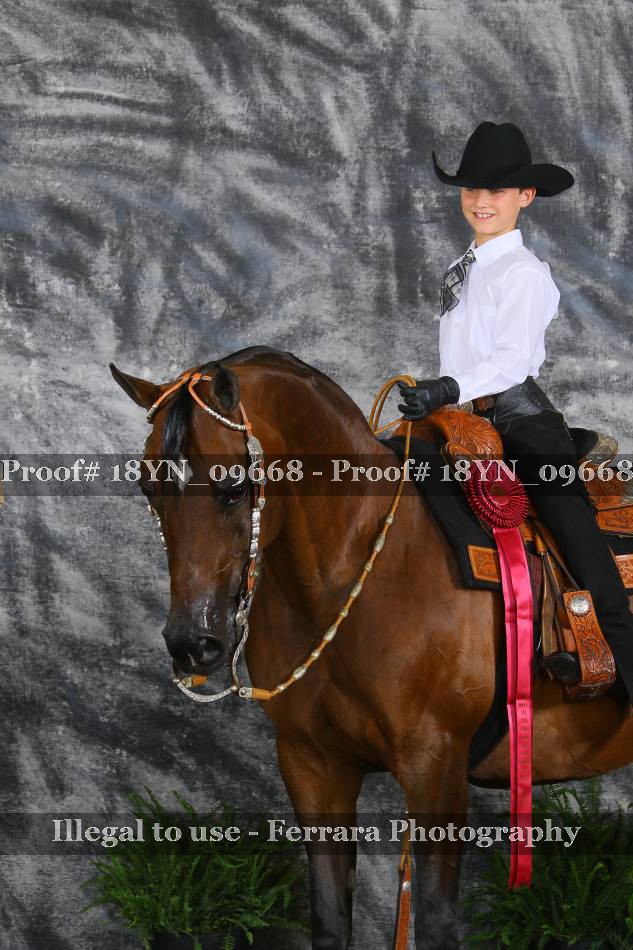 Proof 18YN_09668