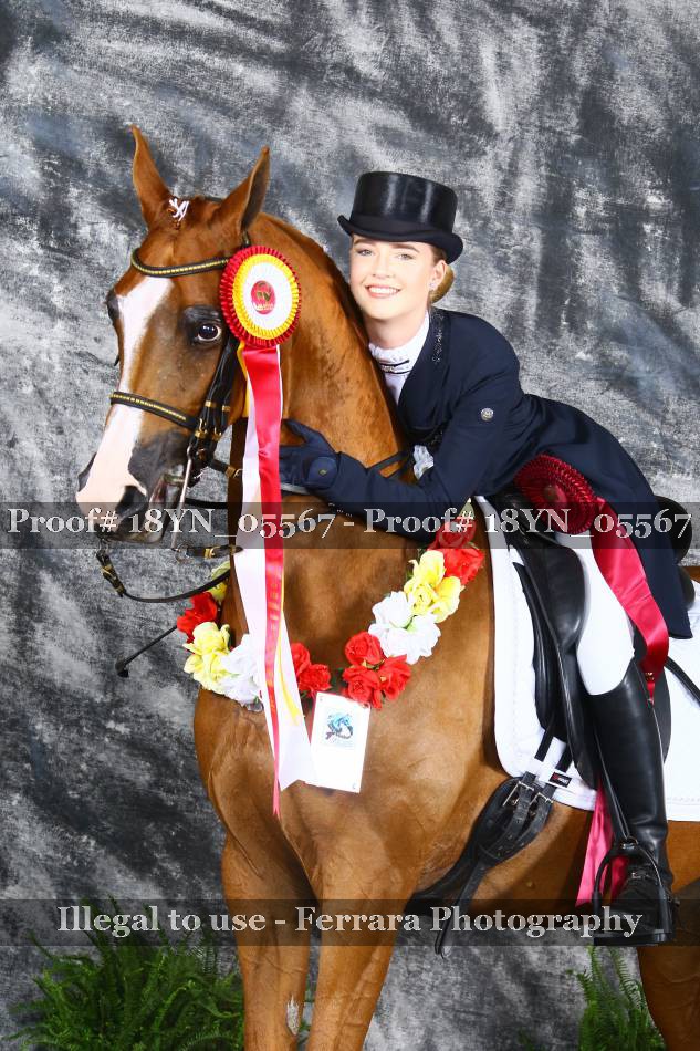 Proof 18YN_05567
