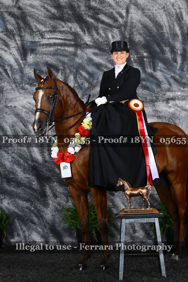 Proof 18YN_05655