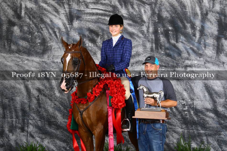 Proof 18YN_05687