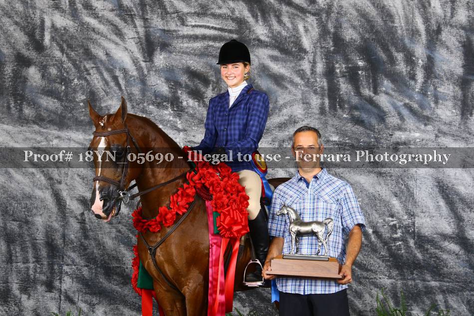 Proof 18YN_05690