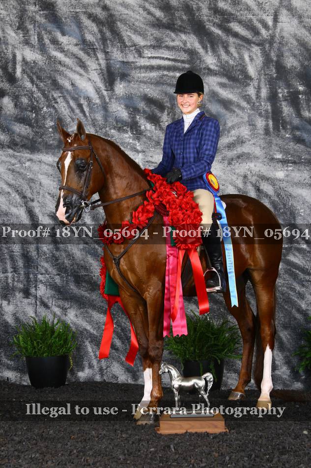 Proof 18YN_05694
