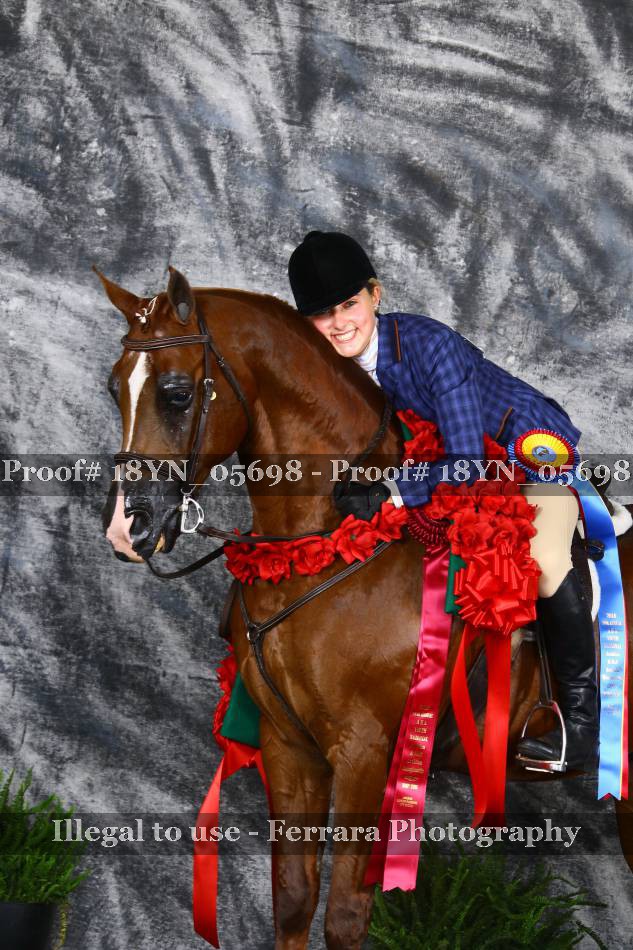 Proof 18YN_05698