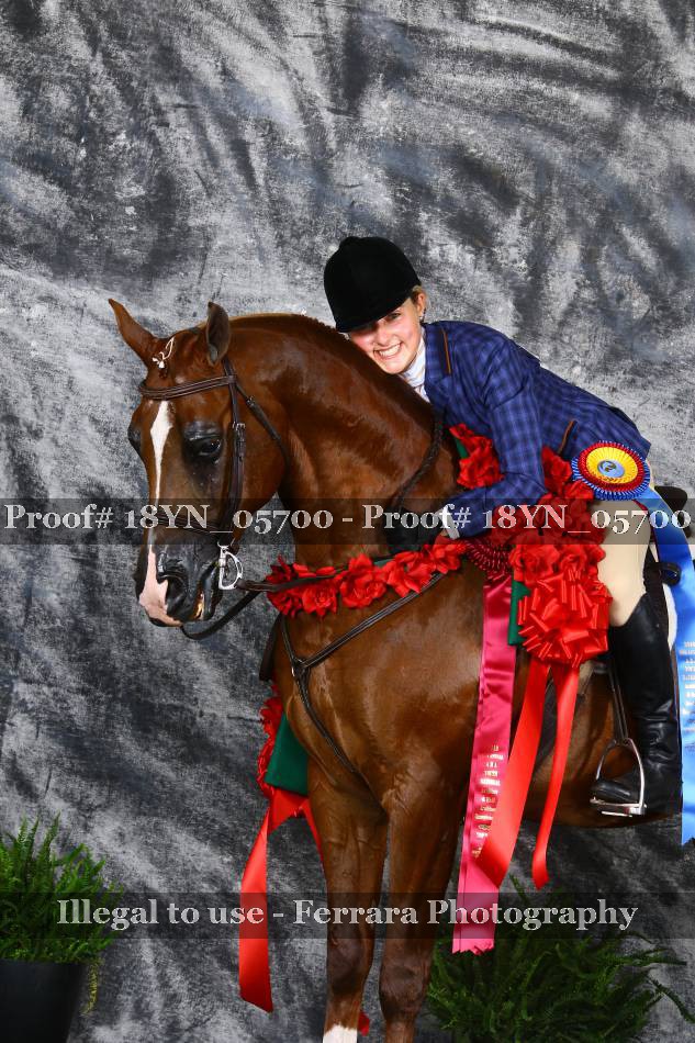 Proof 18YN_05700