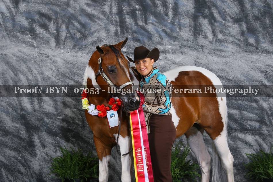 Proof 18YN_07053
