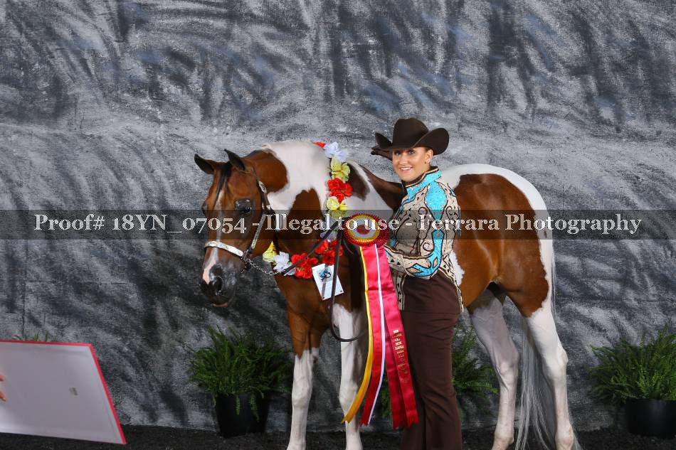 Proof 18YN_07054
