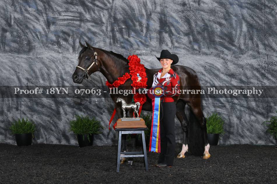 Proof 18YN_07063