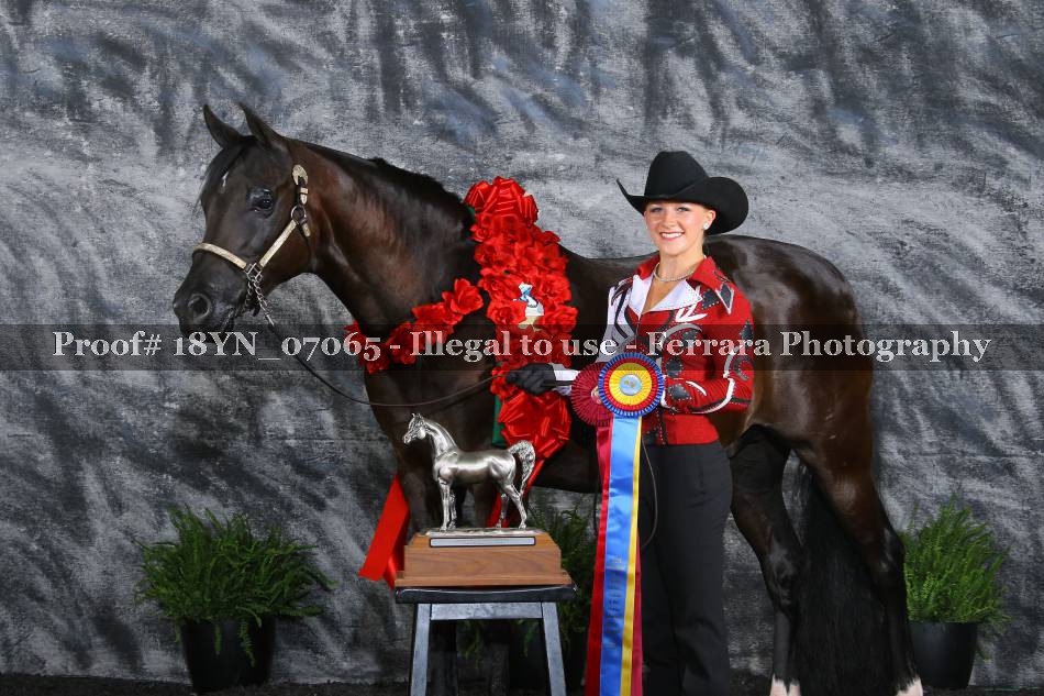 Proof 18YN_07065