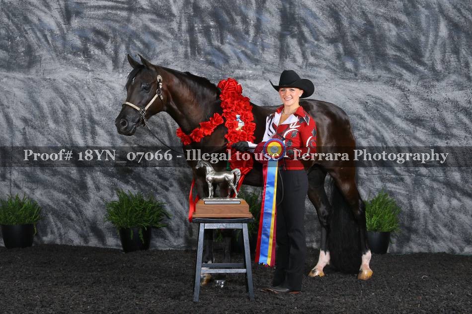 Proof 18YN_07066