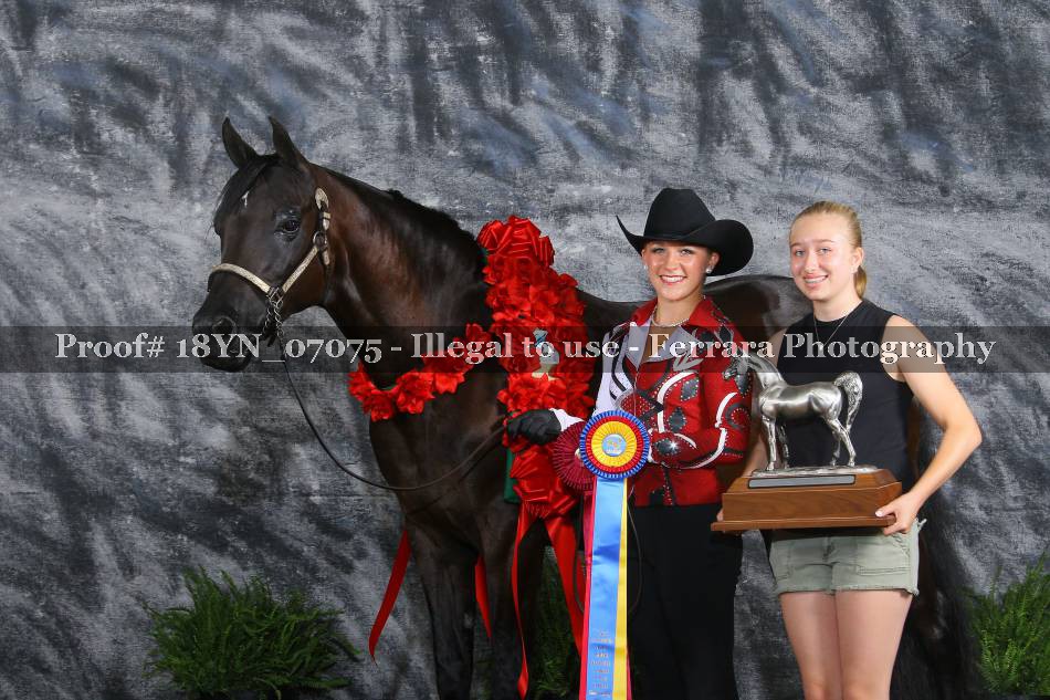Proof 18YN_07075