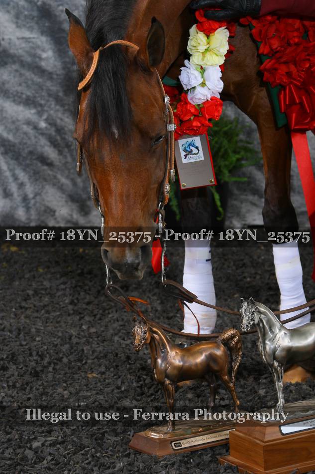 Proof 18YN_25375