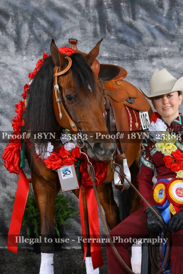 Proof 18YN_25383