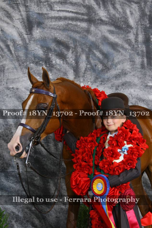 Proof 18YN_13702