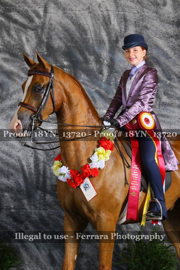 Proof 18YN_13720