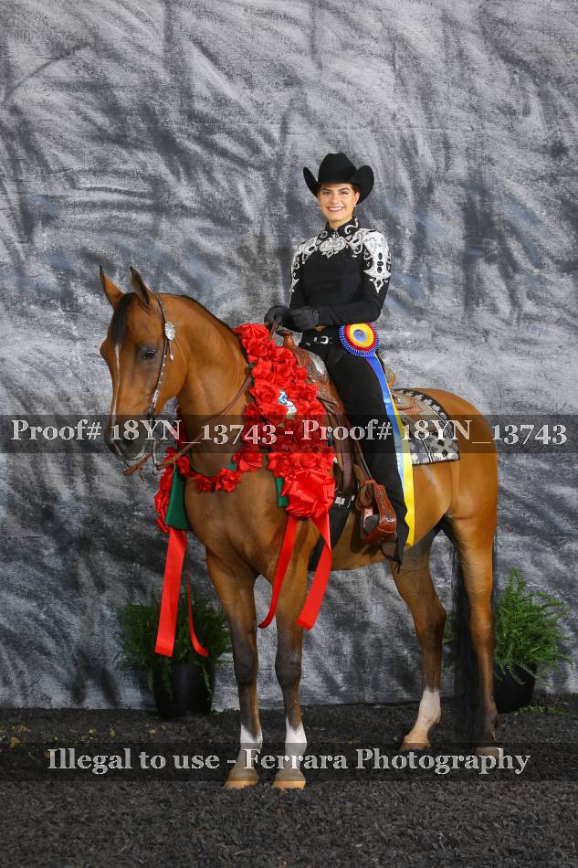 Proof 18YN_13743
