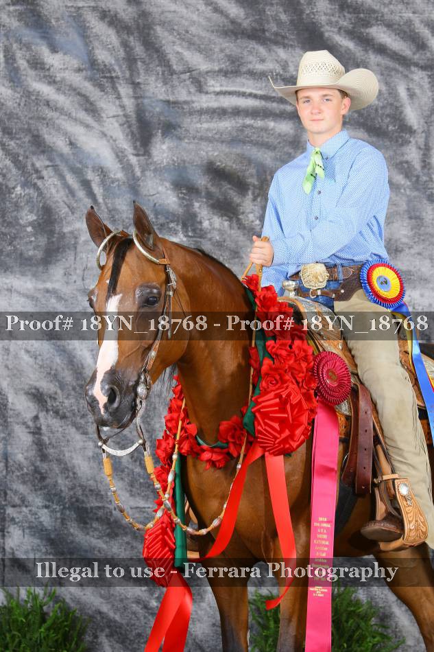 Proof 18YN_18768
