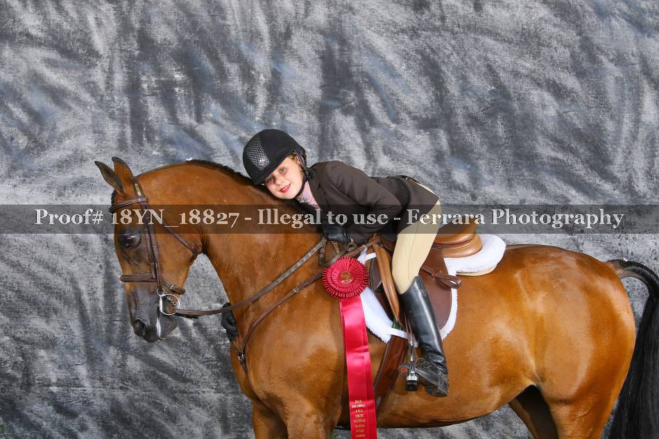 Proof 18YN_18827