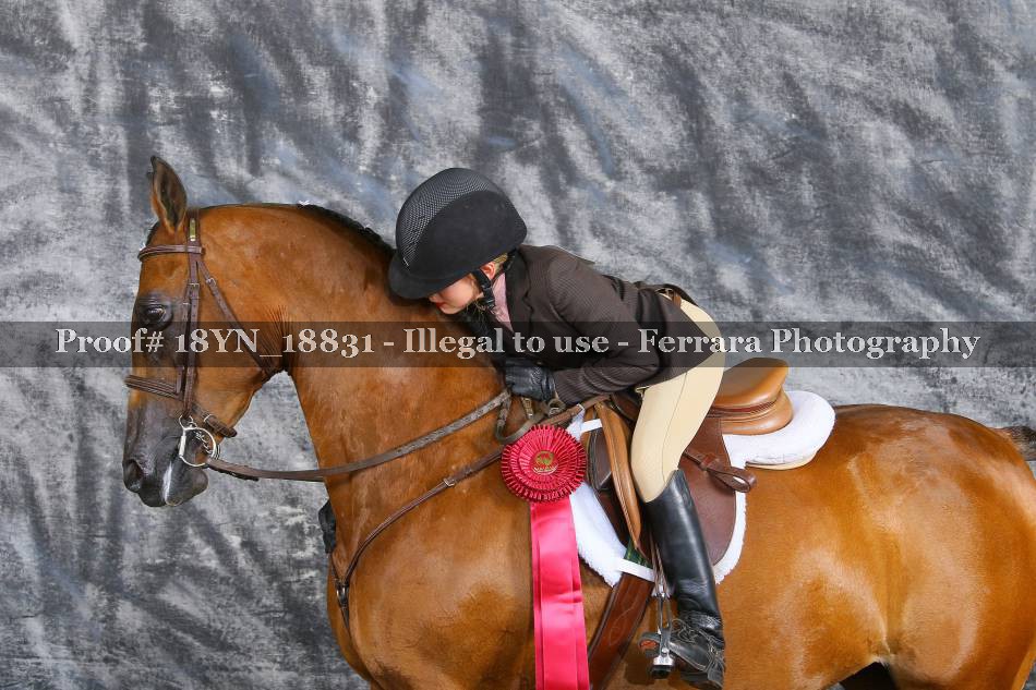 Proof 18YN_18831