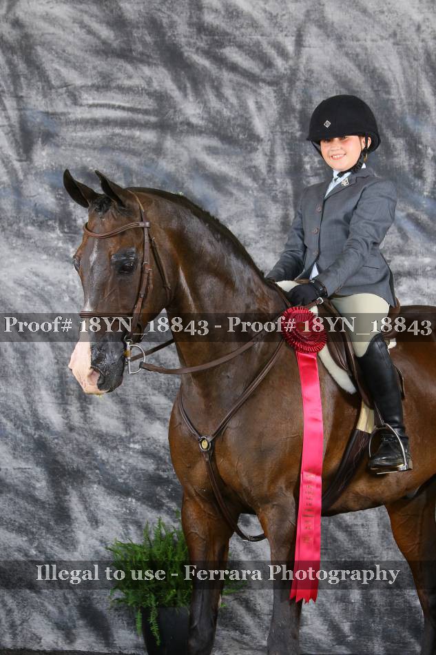 Proof 18YN_18843