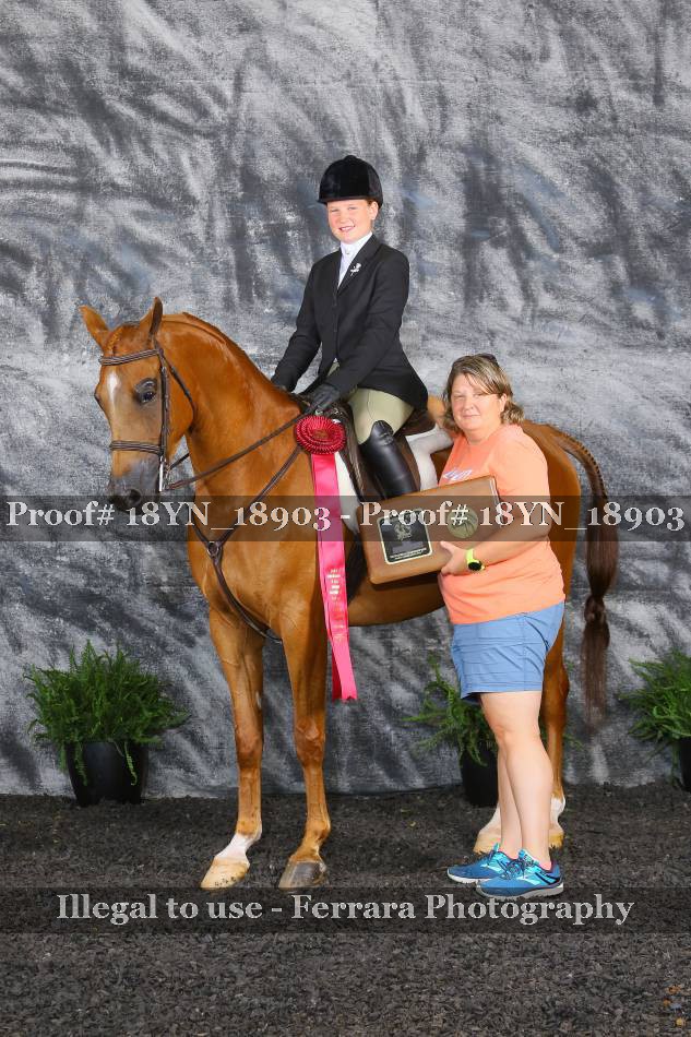 Proof 18YN_18903