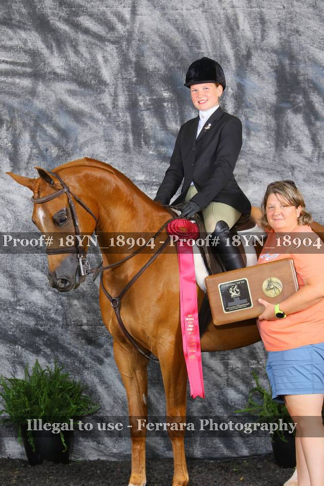 Proof 18YN_18904