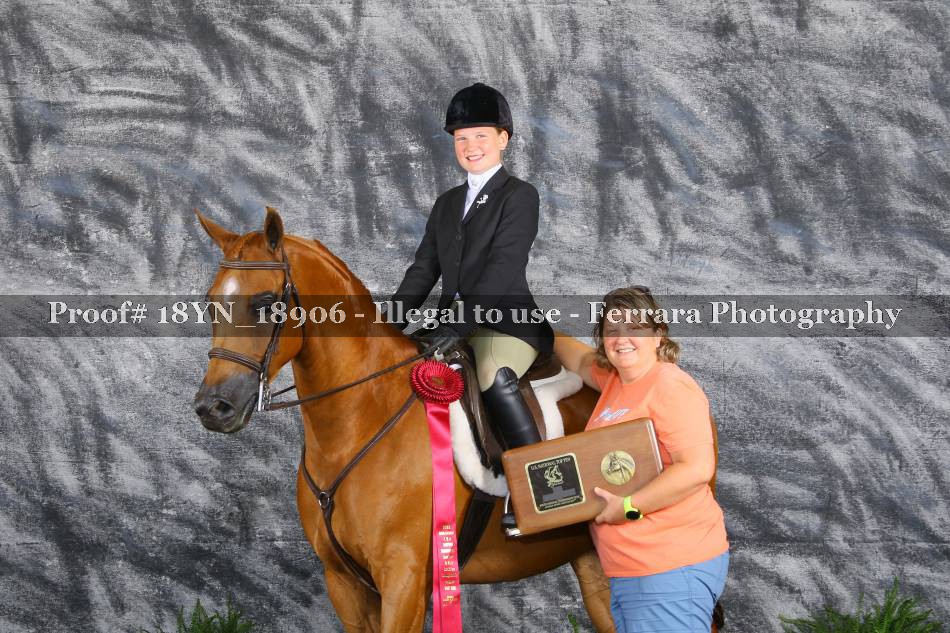Proof 18YN_18906