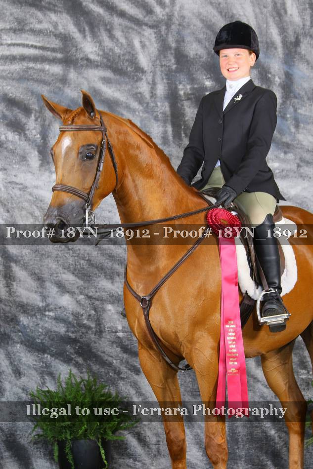 Proof 18YN_18912