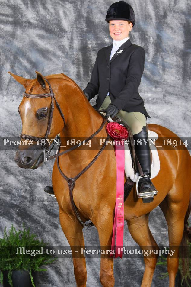 Proof 18YN_18914