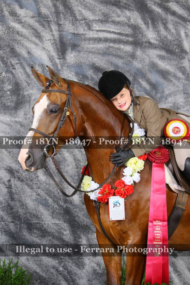 Proof 18YN_18947